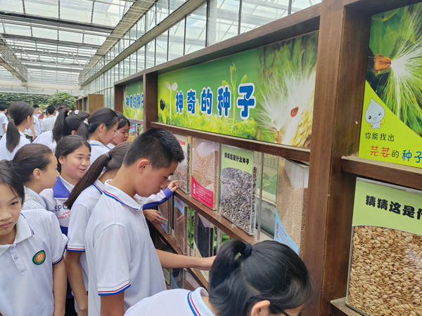 龙江森工集团精耕生态旅游赛道绽放林海文旅